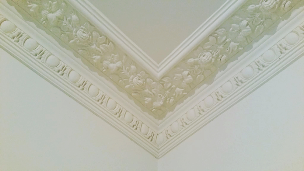 rose flora egg dart cornice